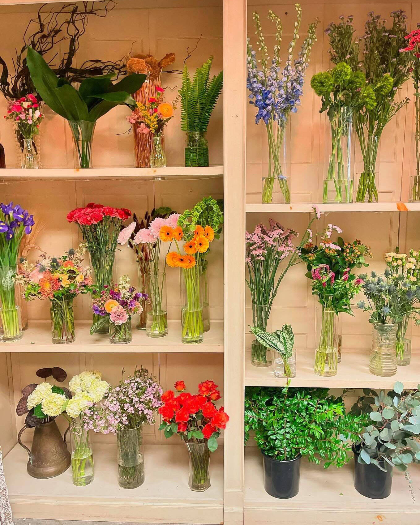 Bohemian home decor, plants, gifts + vintage clothing in Berlin, MD |  Eastern Woodland
