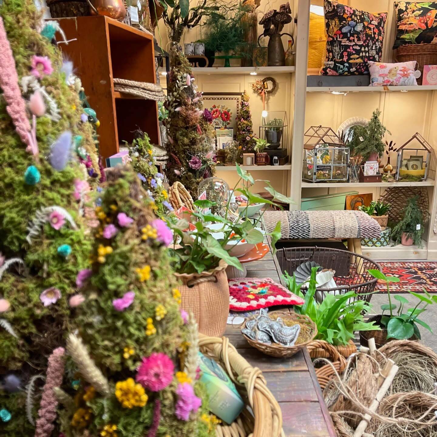 Bohemian home decor, plants, gifts + vintage clothing in Berlin, MD |  Eastern Woodland